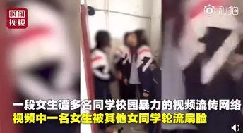 宰羊少女爆料视频大全集,视频大全集深度解析